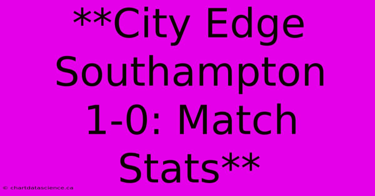 **City Edge Southampton 1-0: Match Stats**