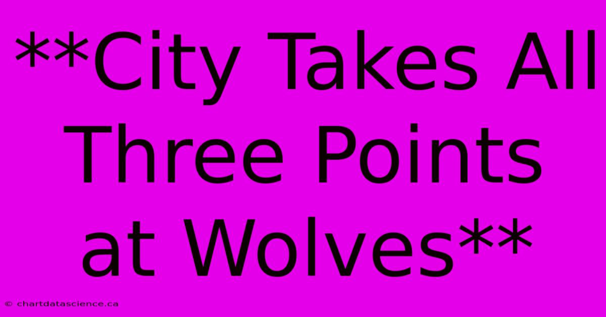 **City Takes All Three Points At Wolves**