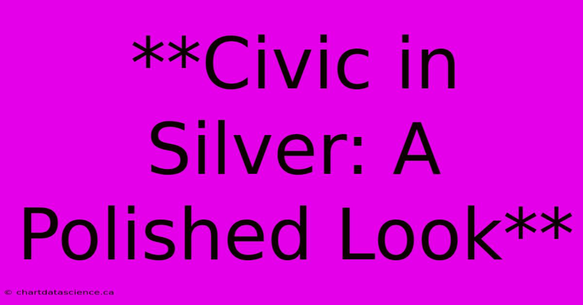 **Civic In Silver: A Polished Look** 