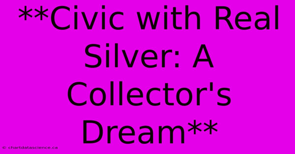 **Civic With Real Silver: A Collector's Dream** 