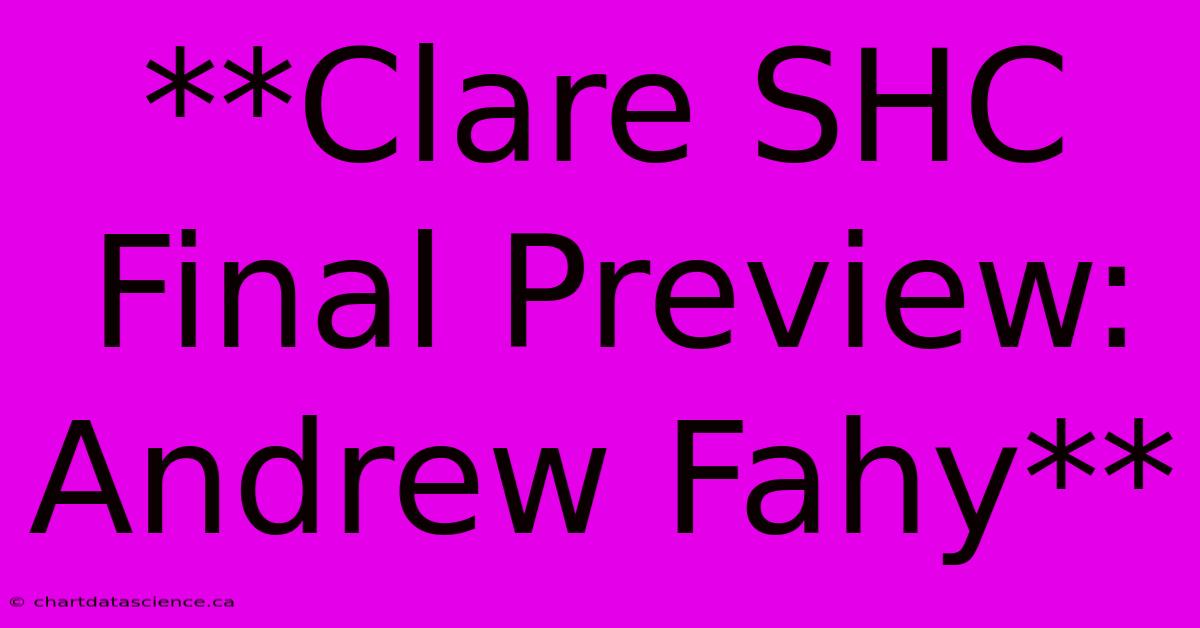 **Clare SHC Final Preview: Andrew Fahy**