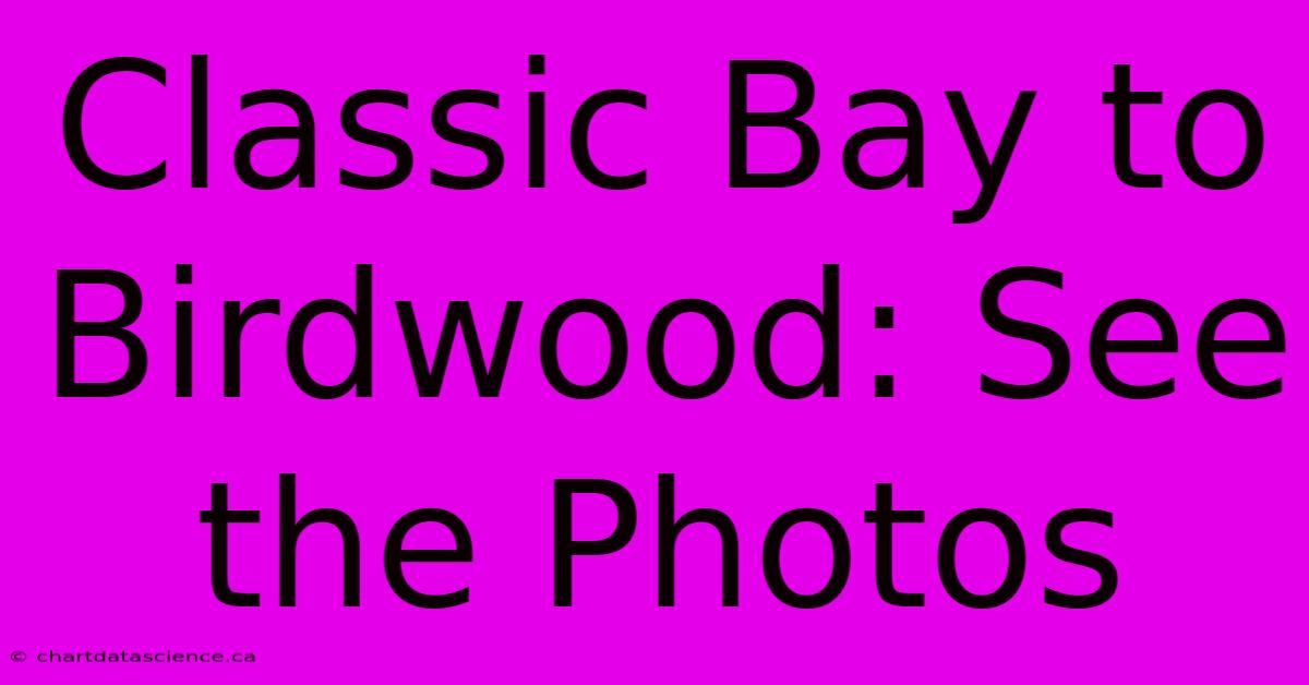 Classic Bay To Birdwood: See The Photos