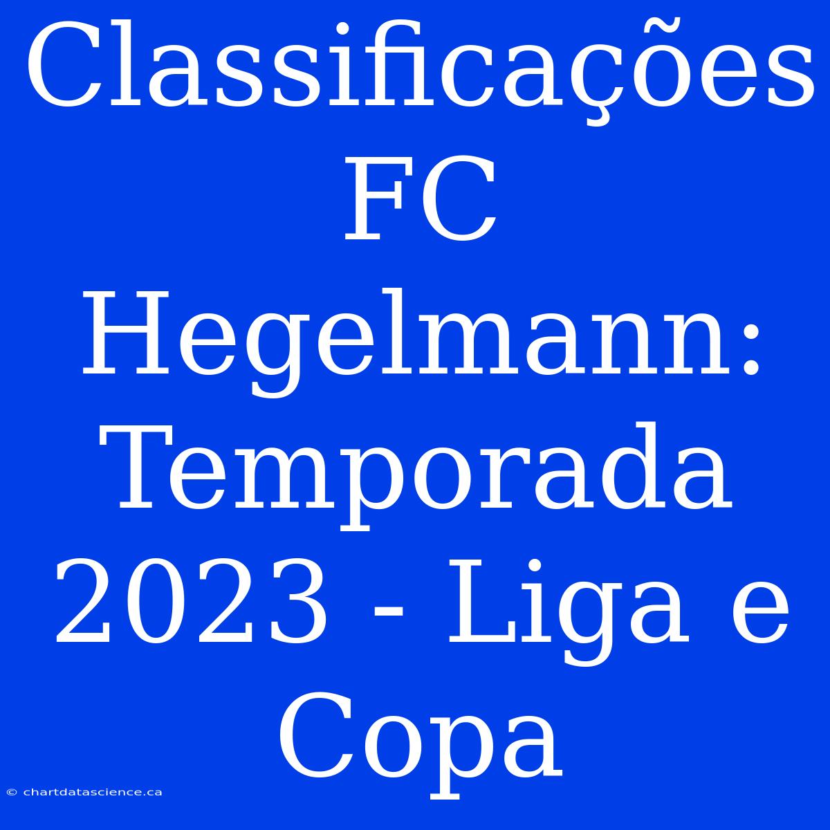 Classificações FC Hegelmann: Temporada 2023 - Liga E Copa