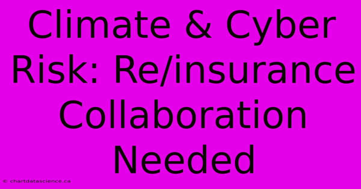 Climate & Cyber Risk: Re/insurance Collaboration Needed