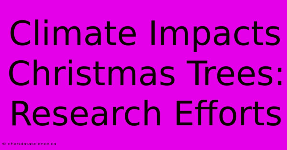 Climate Impacts Christmas Trees: Research Efforts