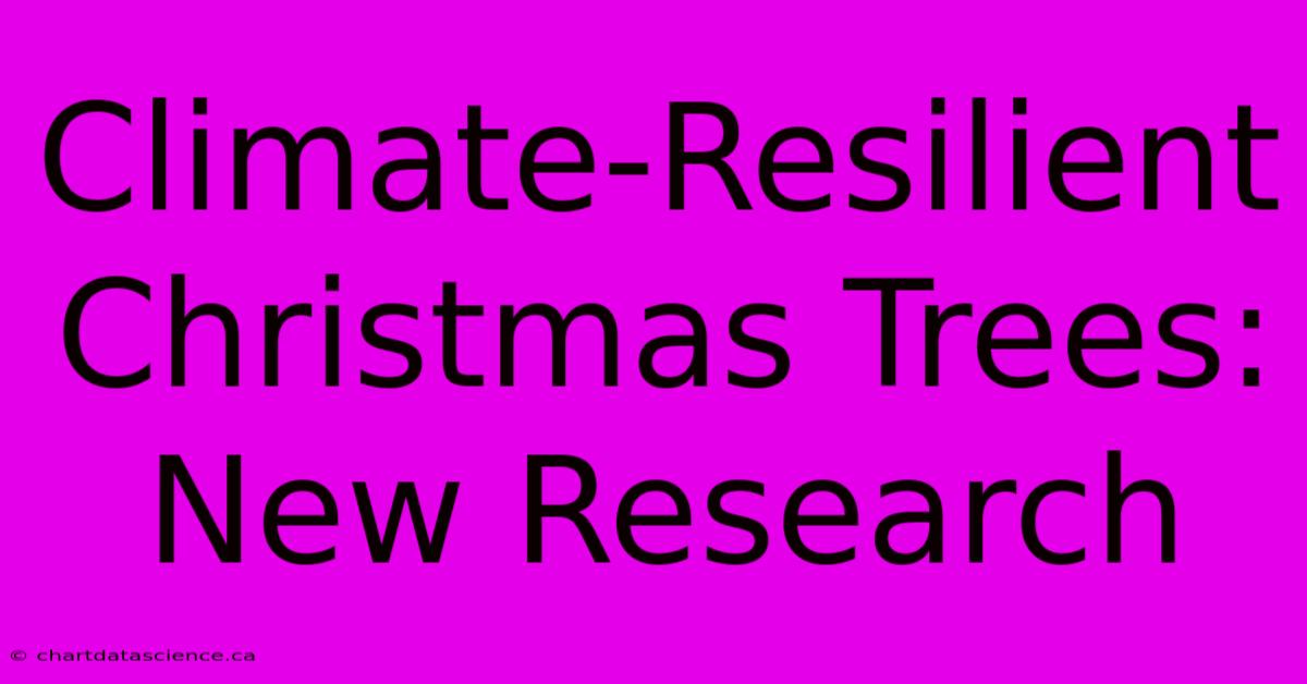 Climate-Resilient Christmas Trees: New Research