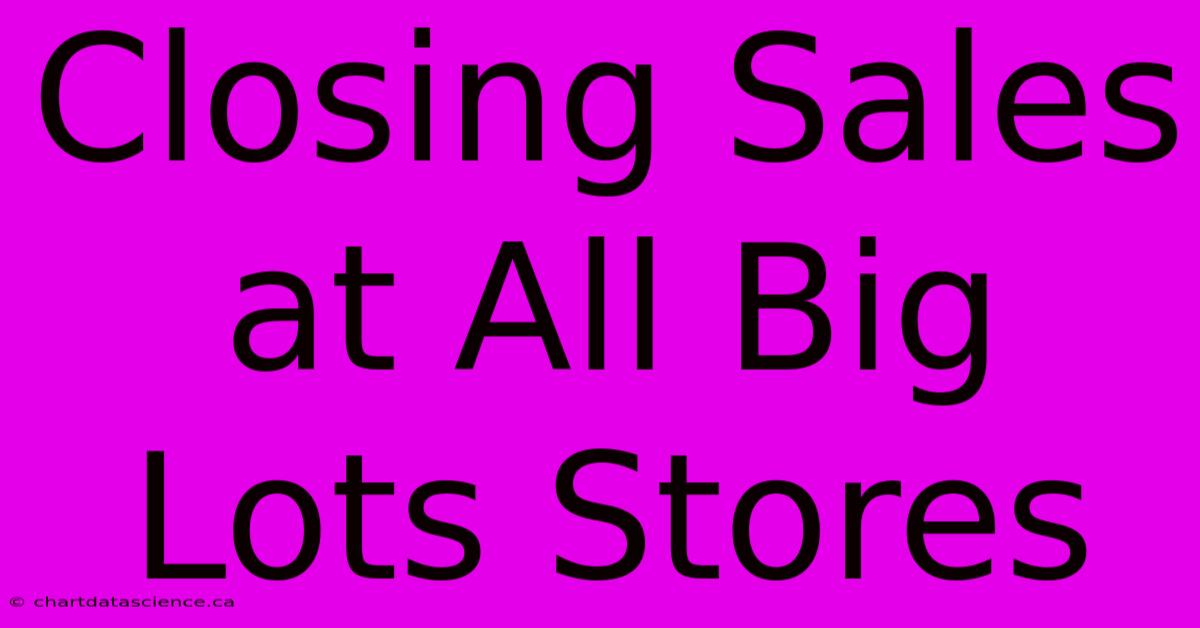 Closing Sales At All Big Lots Stores