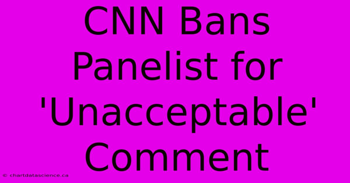 CNN Bans Panelist For 'Unacceptable' Comment