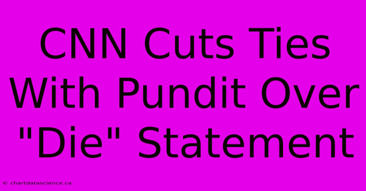 CNN Cuts Ties With Pundit Over 