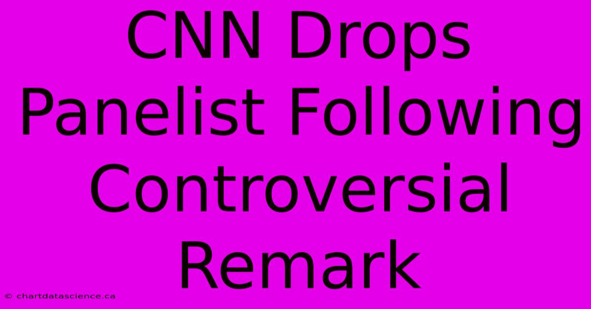 CNN Drops Panelist Following Controversial Remark 