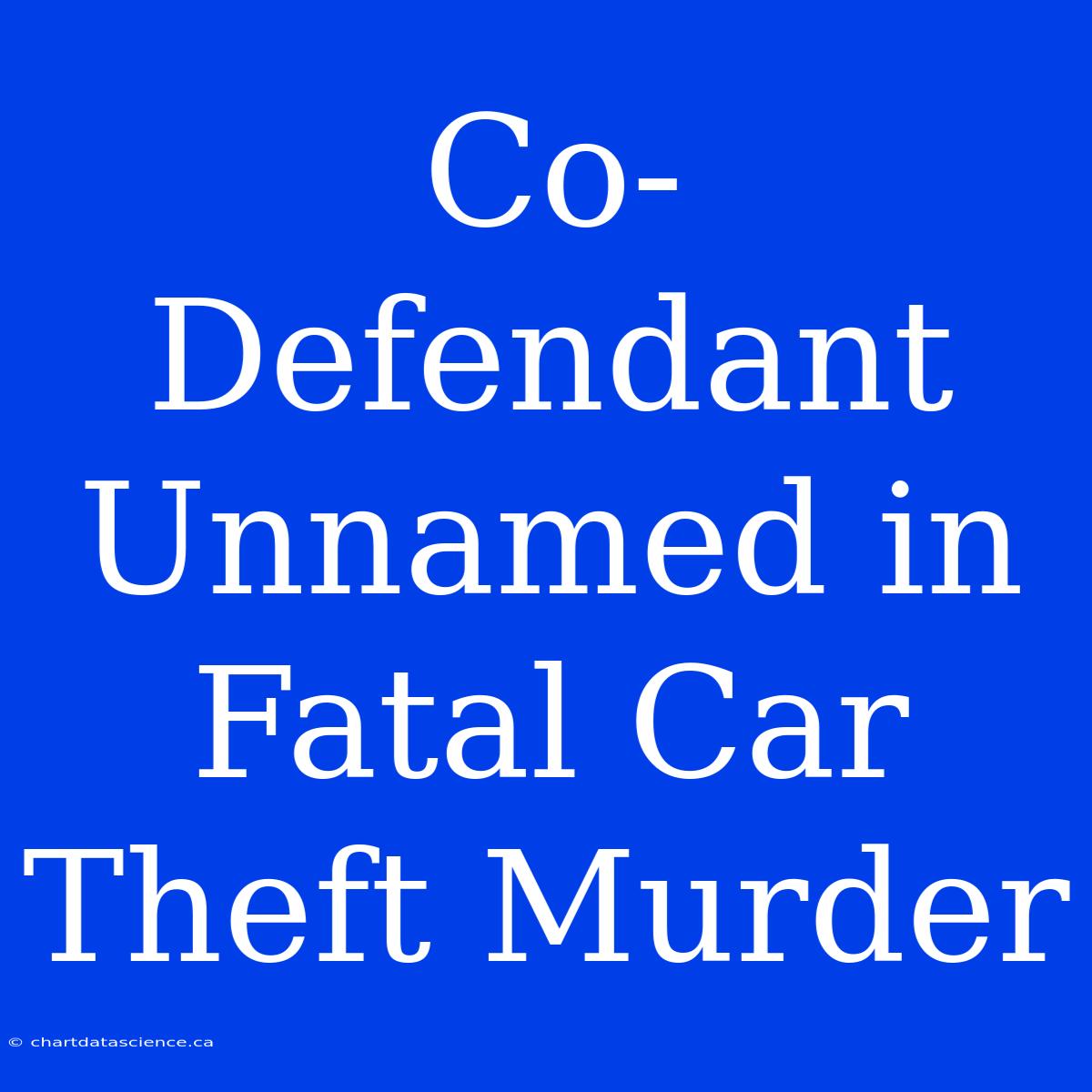 Co-Defendant Unnamed In Fatal Car Theft Murder