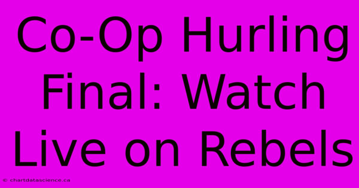 Co-Op Hurling Final: Watch Live On Rebels