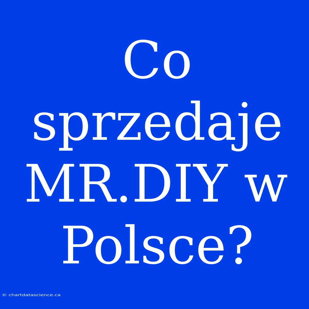 Co Sprzedaje MR.DIY W Polsce?