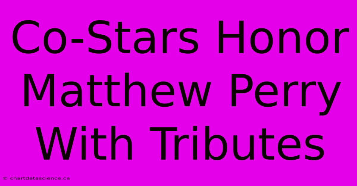 Co-Stars Honor Matthew Perry With Tributes 