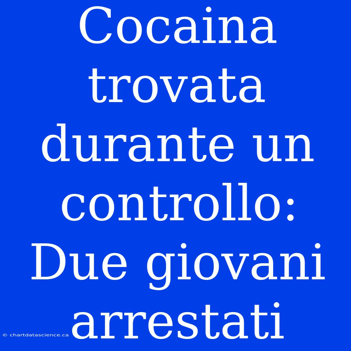 Cocaina Trovata Durante Un Controllo: Due Giovani Arrestati