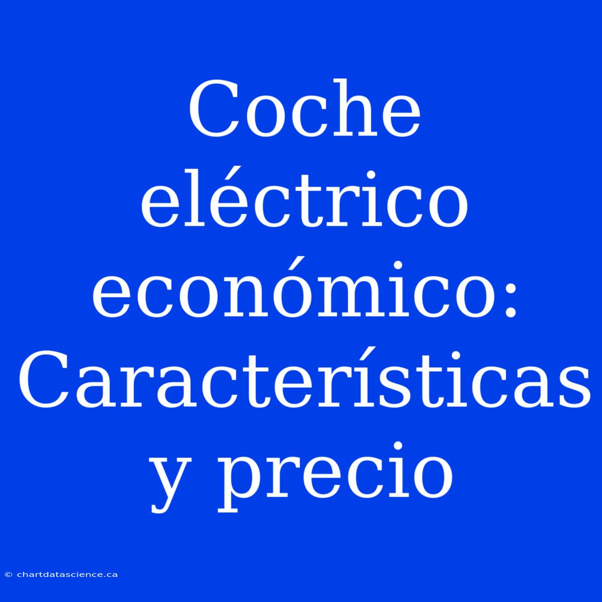 Coche Eléctrico Económico: Características Y Precio