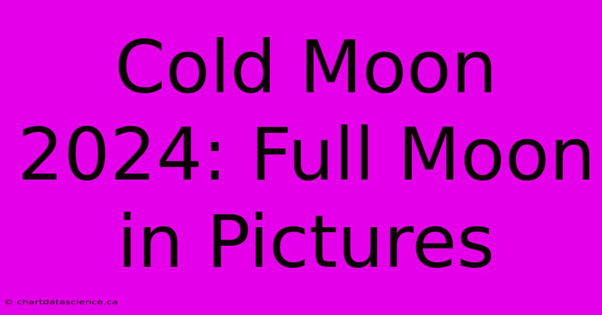 Cold Moon 2024: Full Moon In Pictures