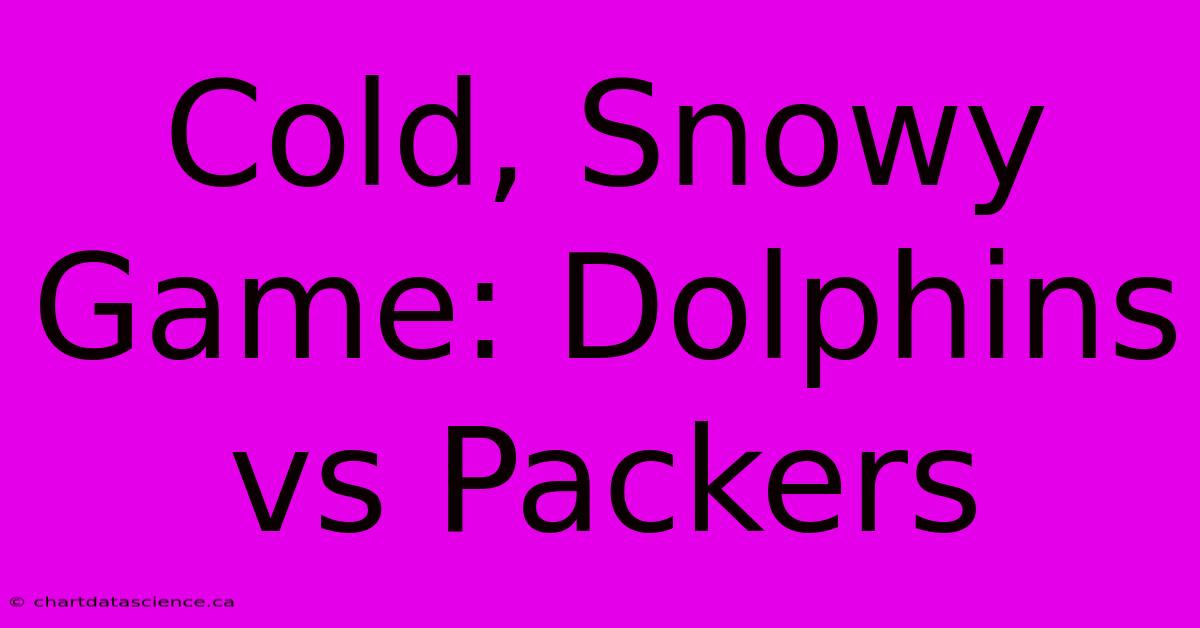 Cold, Snowy Game: Dolphins Vs Packers