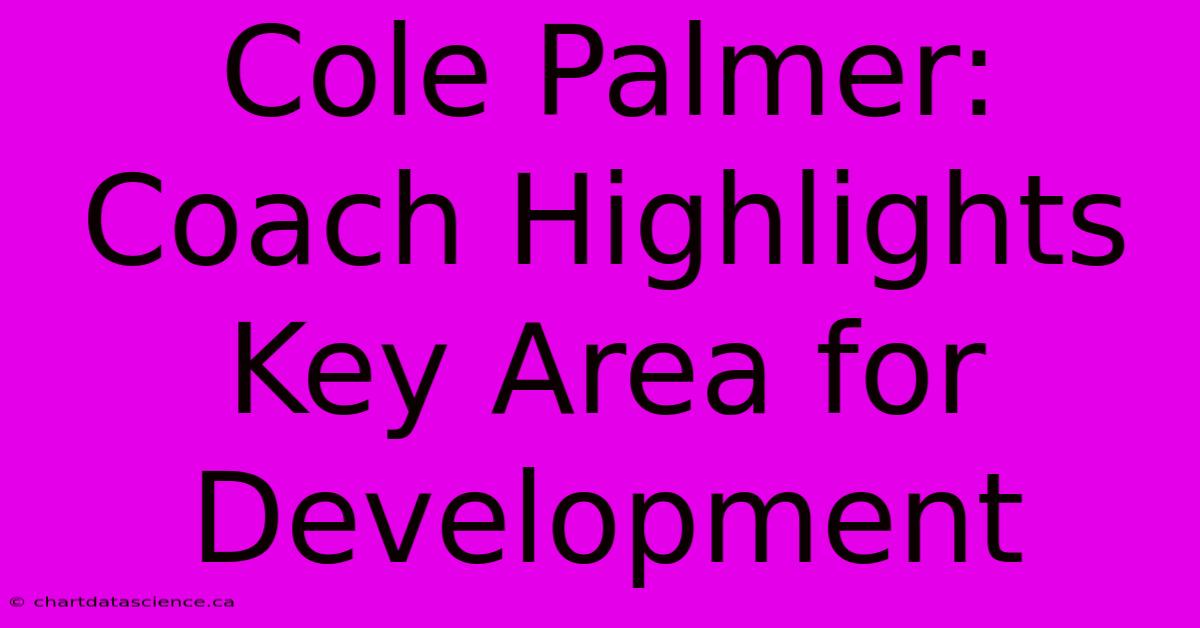 Cole Palmer: Coach Highlights Key Area For Development