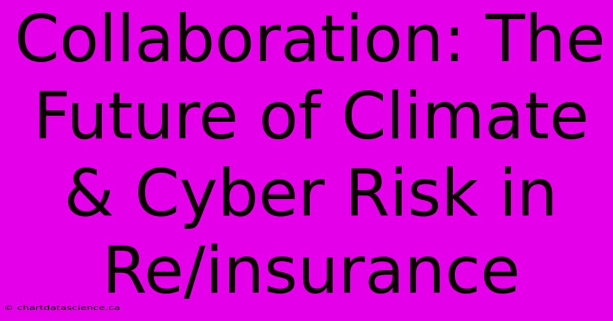 Collaboration: The Future Of Climate & Cyber Risk In Re/insurance