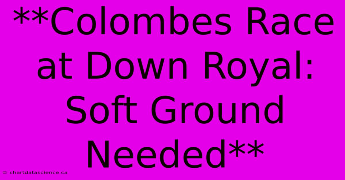 **Colombes Race At Down Royal: Soft Ground Needed** 