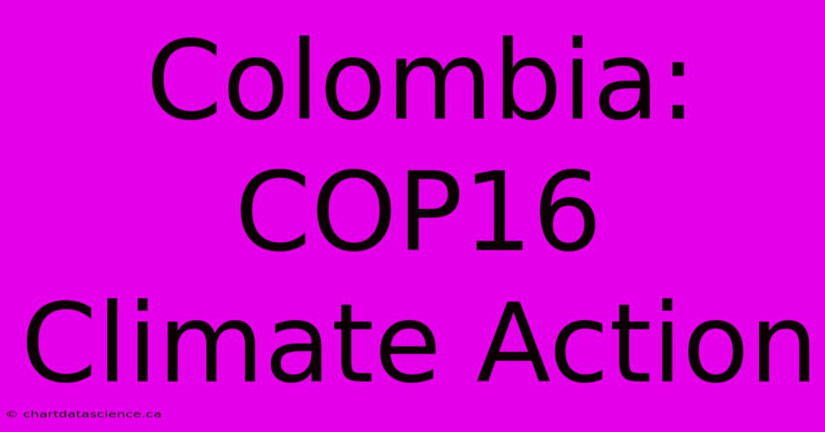 Colombia: COP16 Climate Action 