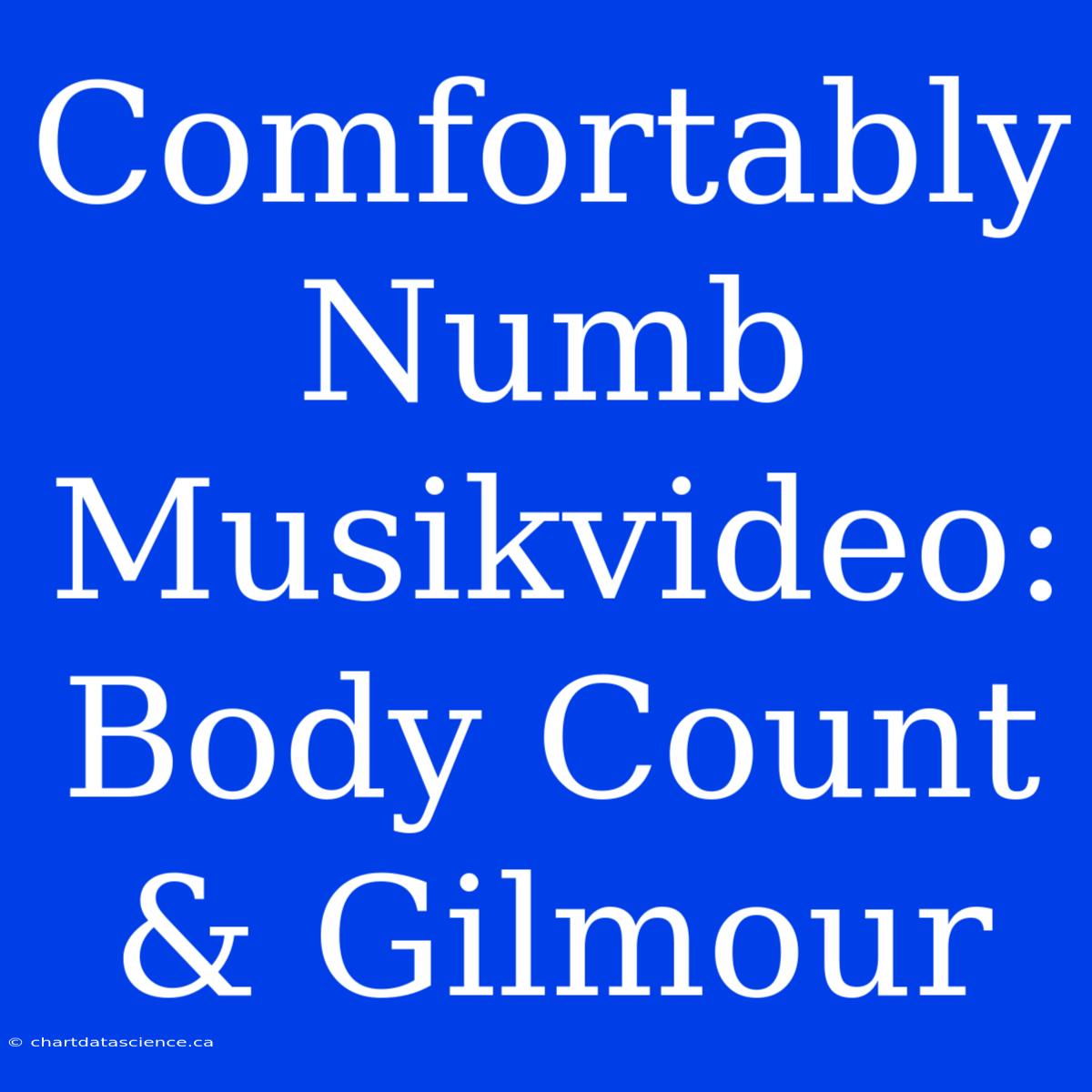 Comfortably Numb Musikvideo: Body Count & Gilmour