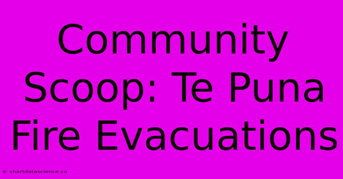 Community Scoop: Te Puna Fire Evacuations