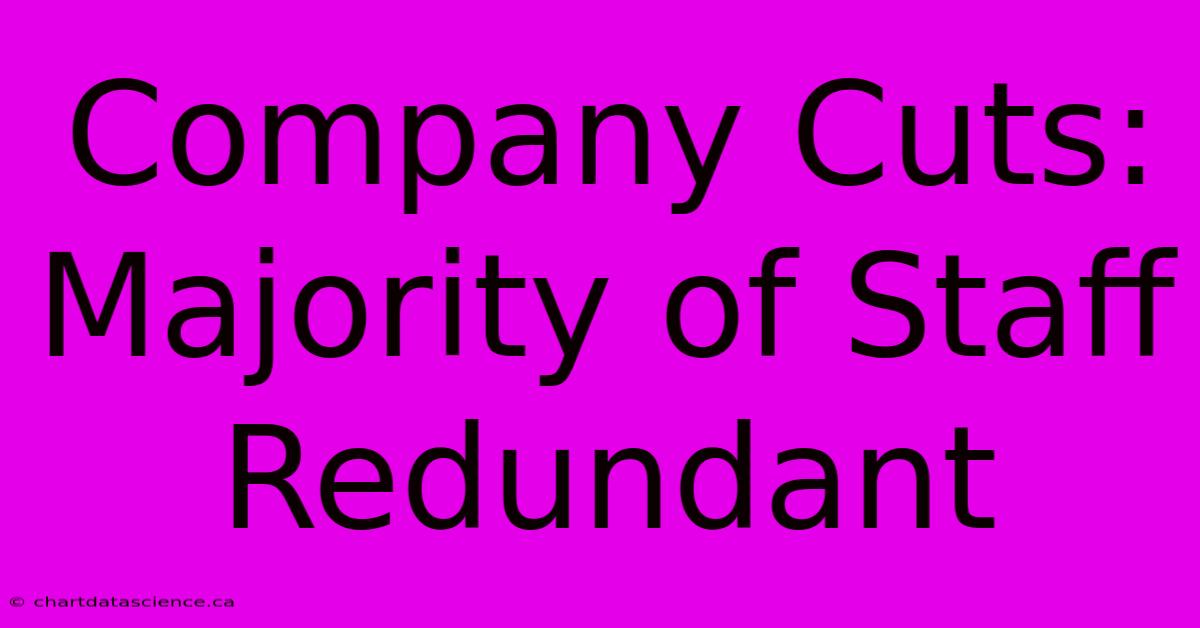 Company Cuts: Majority Of Staff Redundant 