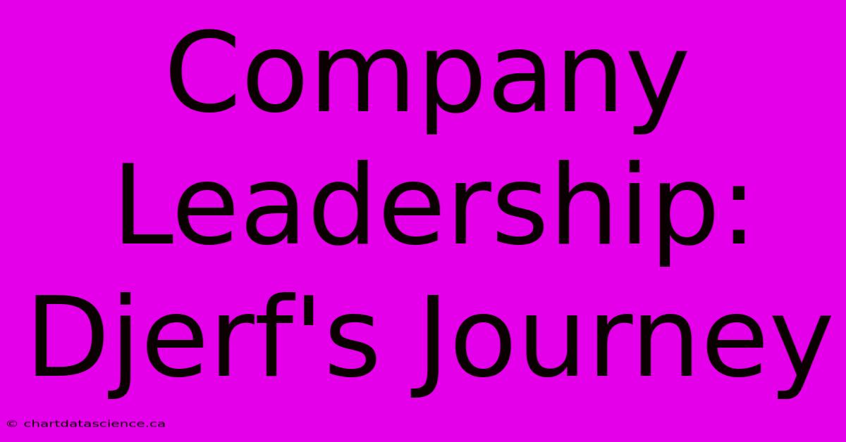 Company Leadership: Djerf's Journey