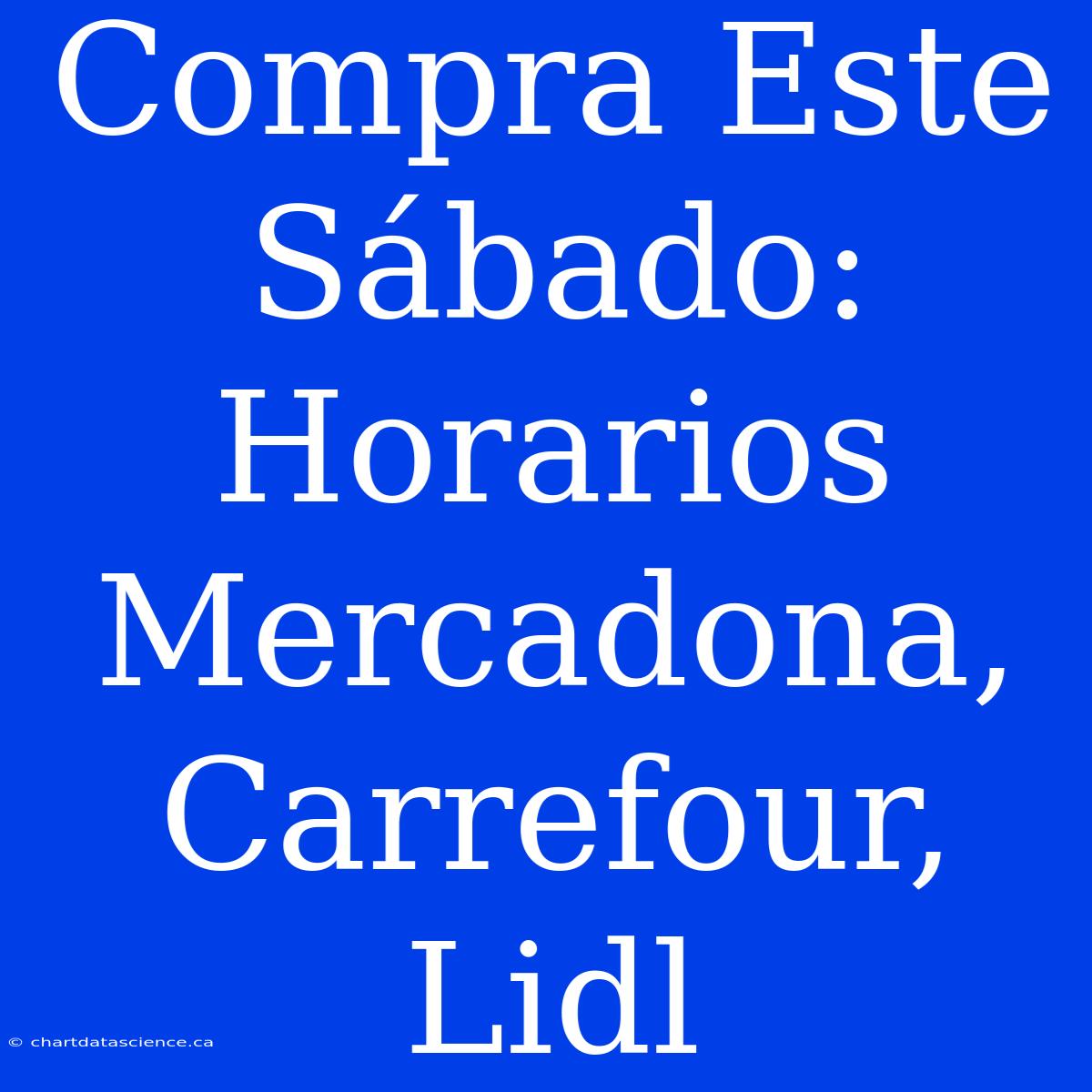 Compra Este Sábado: Horarios Mercadona, Carrefour, Lidl