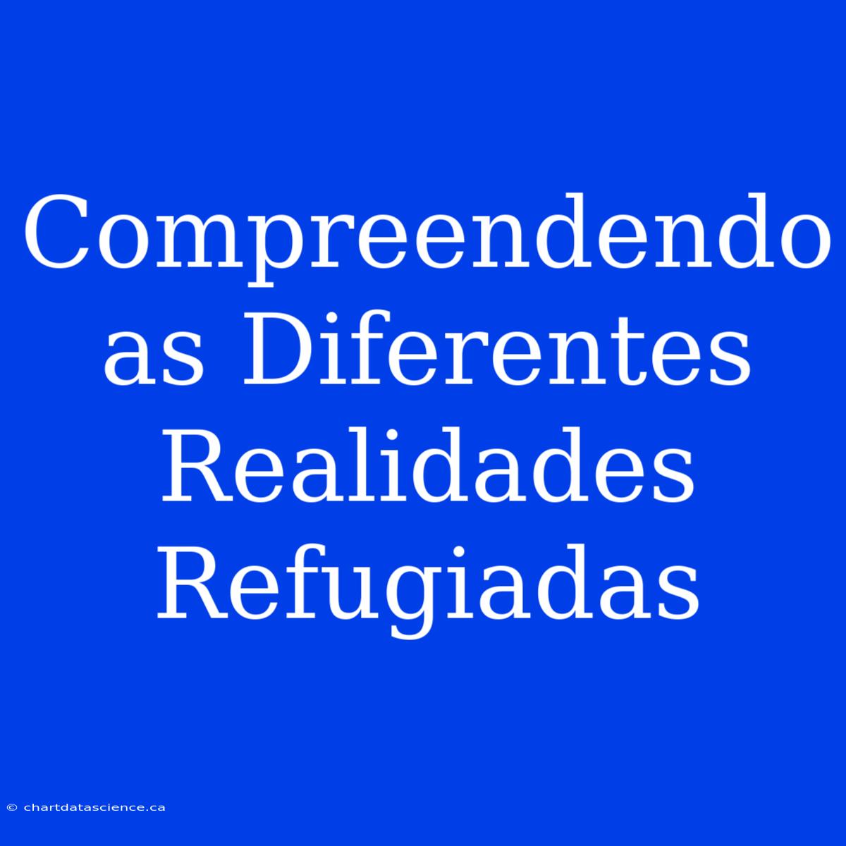 Compreendendo As Diferentes Realidades Refugiadas