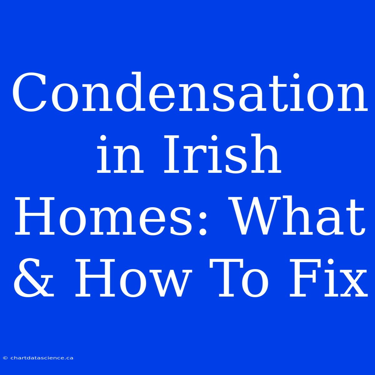 Condensation In Irish Homes: What & How To Fix