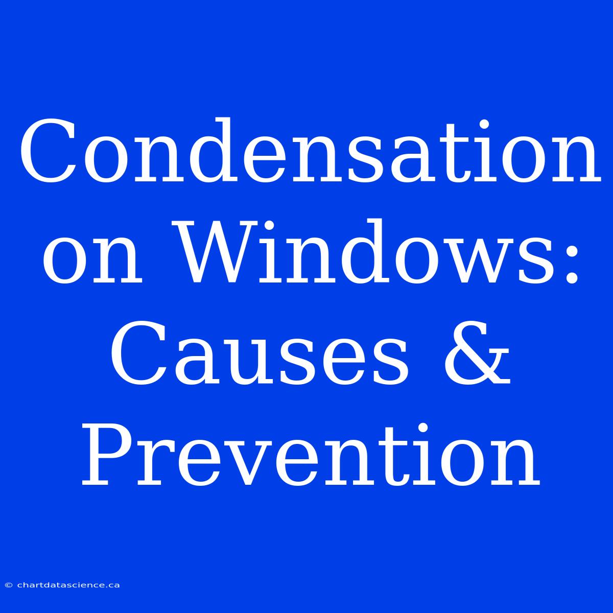 Condensation On Windows: Causes & Prevention