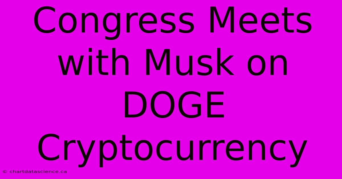 Congress Meets With Musk On DOGE Cryptocurrency