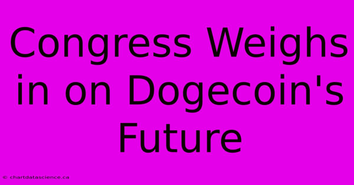 Congress Weighs In On Dogecoin's Future