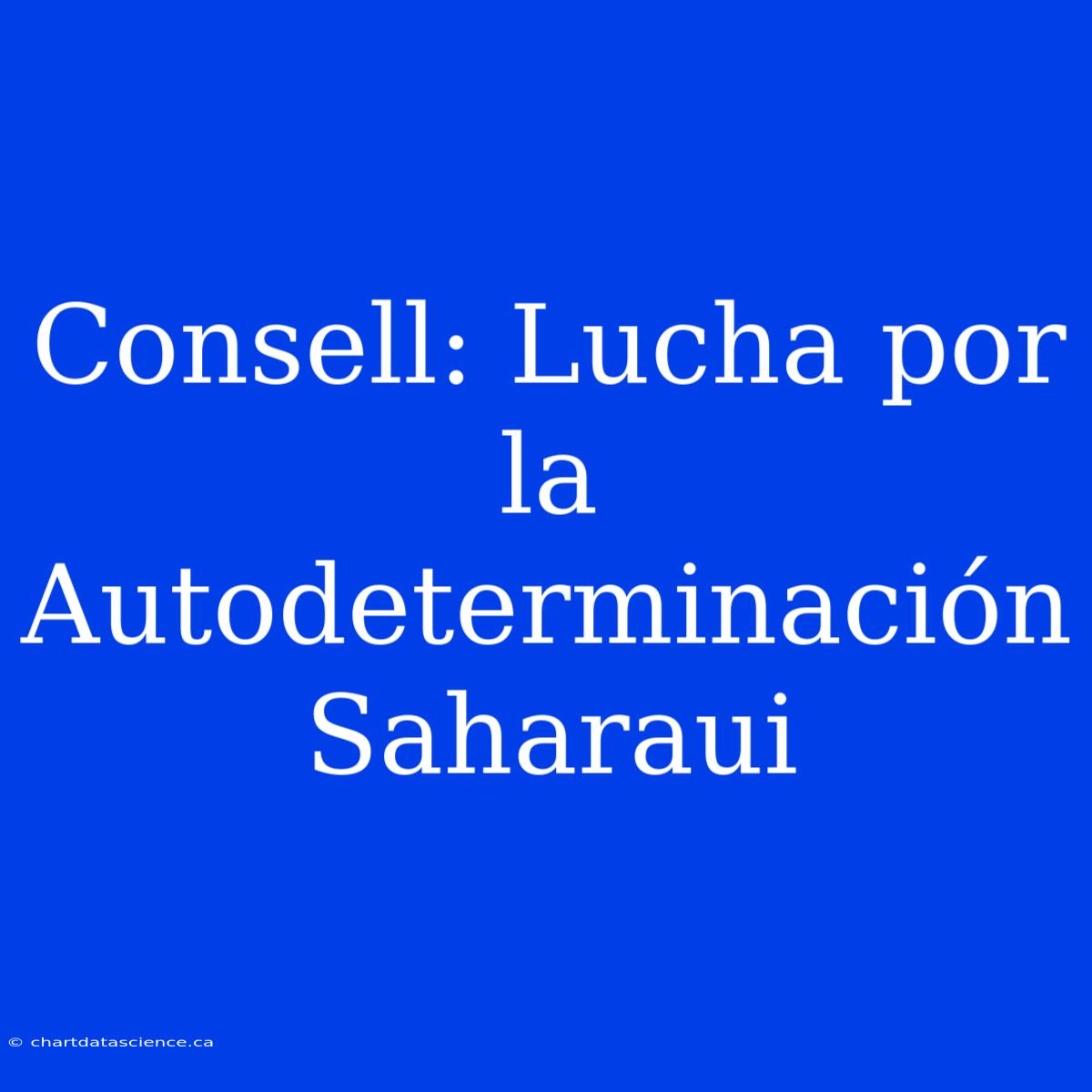 Consell: Lucha Por La Autodeterminación Saharaui