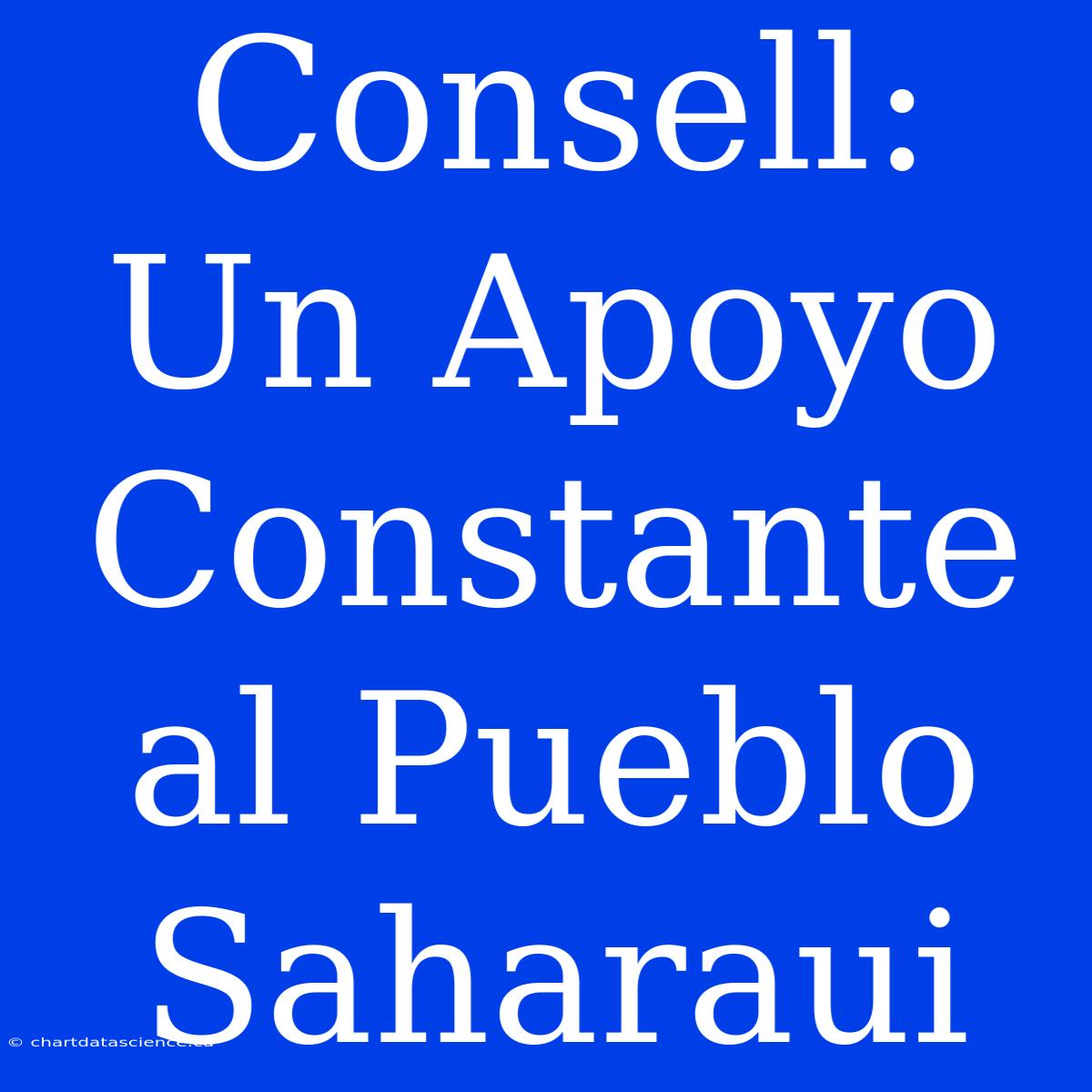 Consell: Un Apoyo Constante Al Pueblo Saharaui