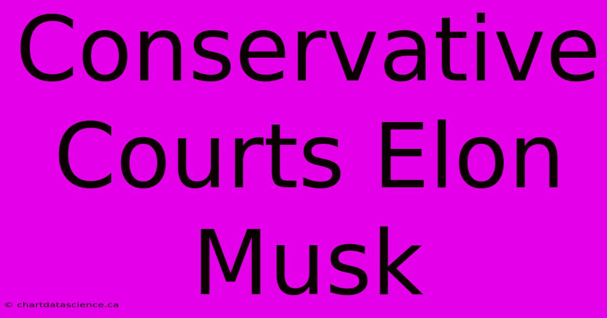 Conservative Courts Elon Musk