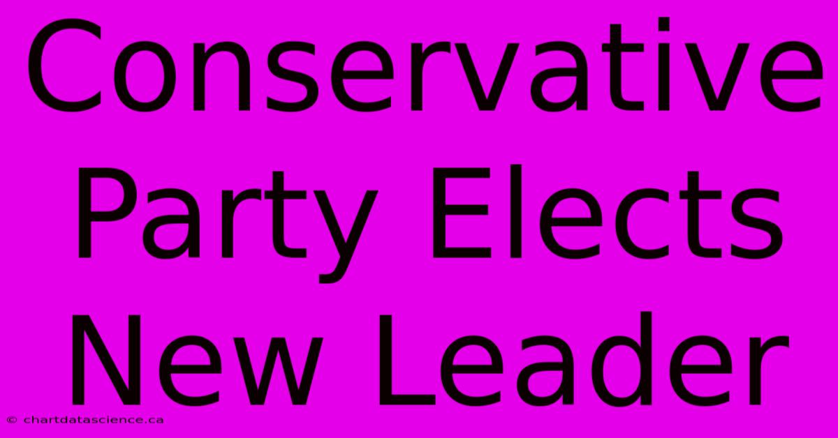 Conservative Party Elects New Leader