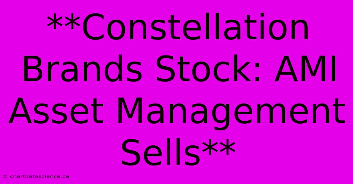 **Constellation Brands Stock: AMI Asset Management Sells**