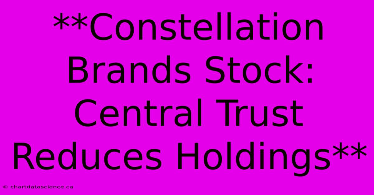 **Constellation Brands Stock: Central Trust Reduces Holdings**