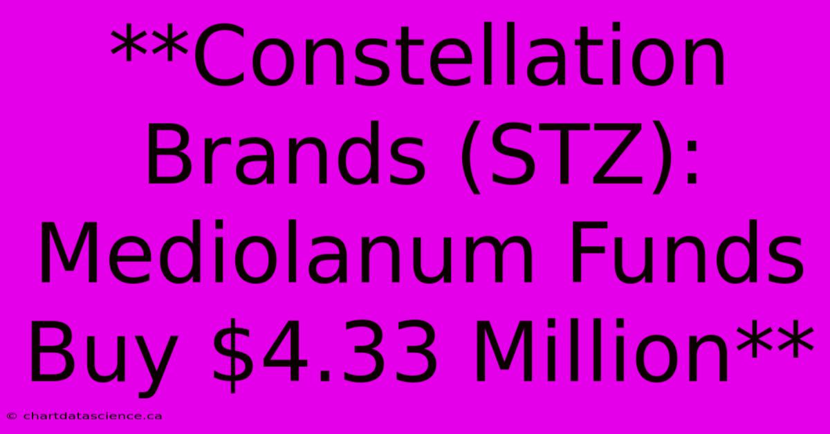 **Constellation Brands (STZ): Mediolanum Funds Buy $4.33 Million**