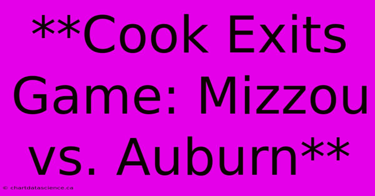 **Cook Exits Game: Mizzou Vs. Auburn**