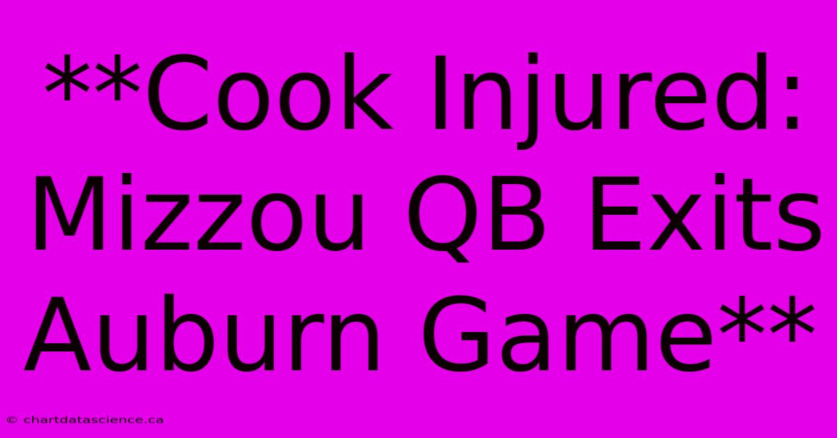 **Cook Injured: Mizzou QB Exits Auburn Game**