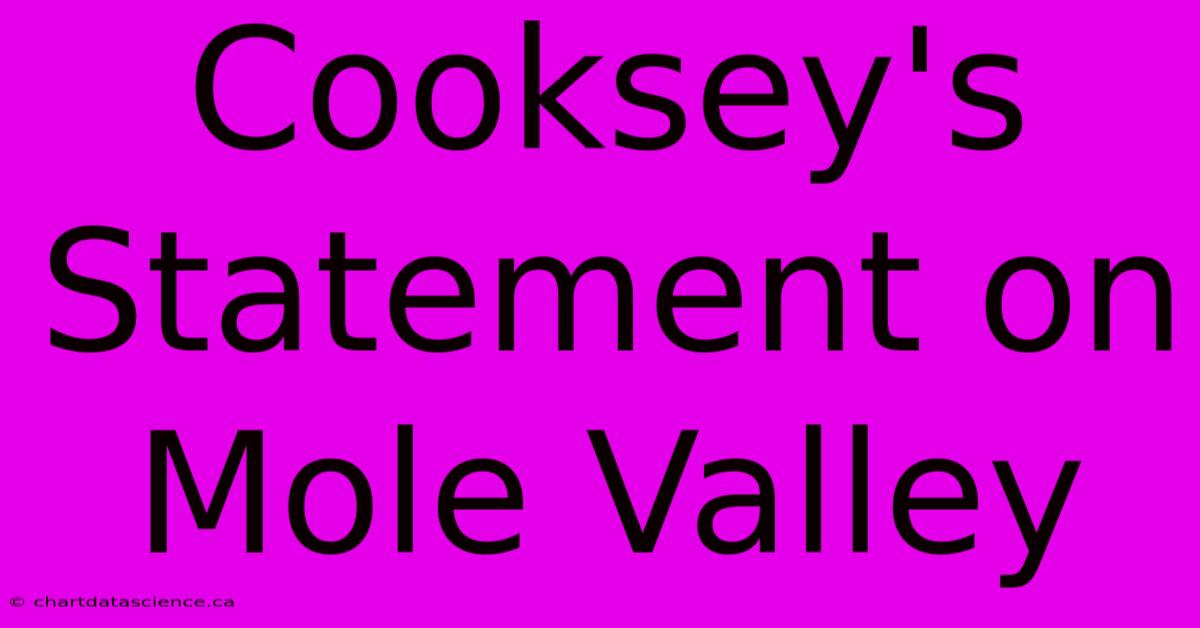 Cooksey's Statement On Mole Valley