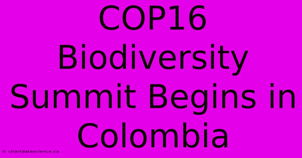 COP16 Biodiversity Summit Begins In Colombia