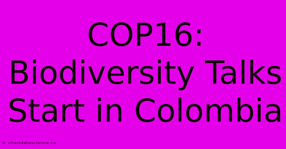 COP16: Biodiversity Talks Start In Colombia