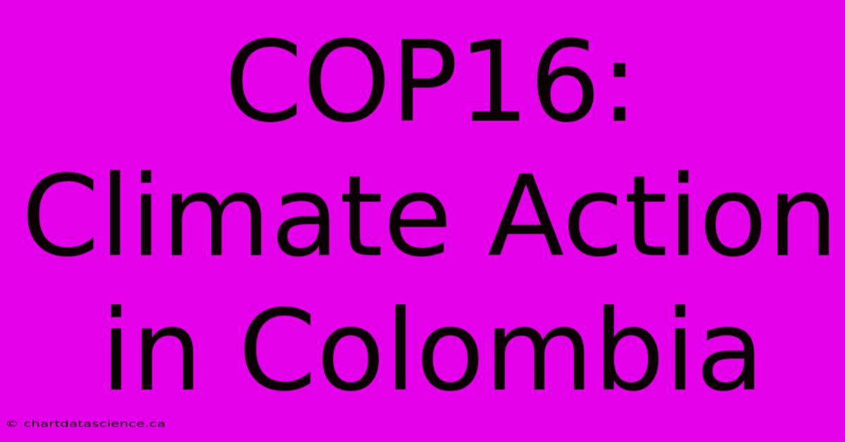 COP16: Climate Action In Colombia