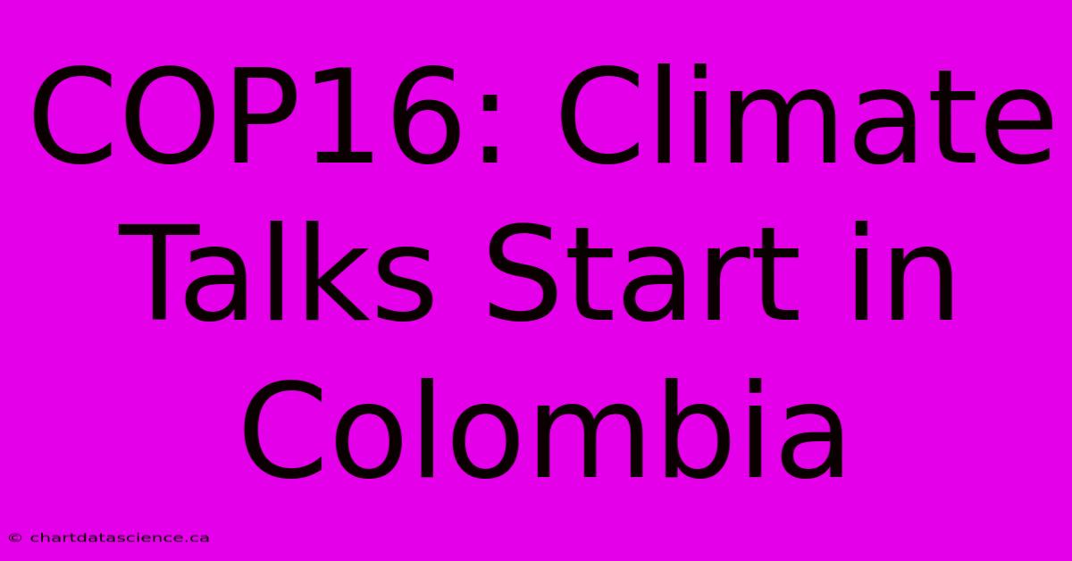 COP16: Climate Talks Start In Colombia